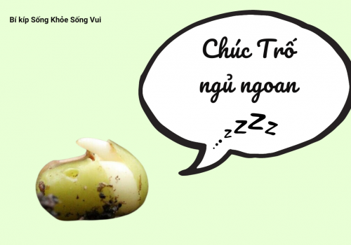 Bí kíp Sống Khỏe Sống Vui: Chúc Trố ngủ ngoan