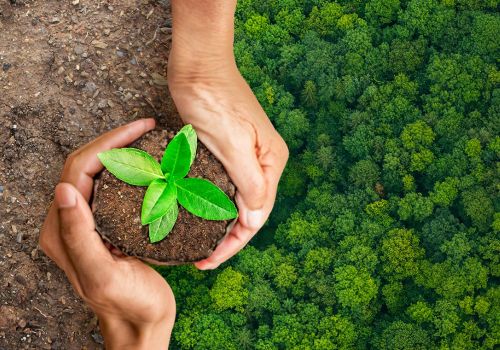 Thích ứng với sự Thay đổi: Năng lực quan trọng để Lãnh đạo trong VUCA