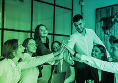 Chuyên gia Huấn luyện (Trainer)