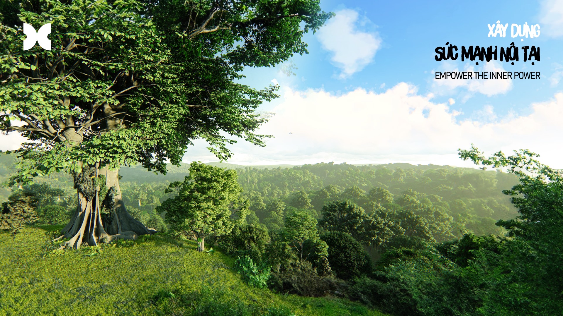 BG-ZOOM-Rung DC.jpg resize