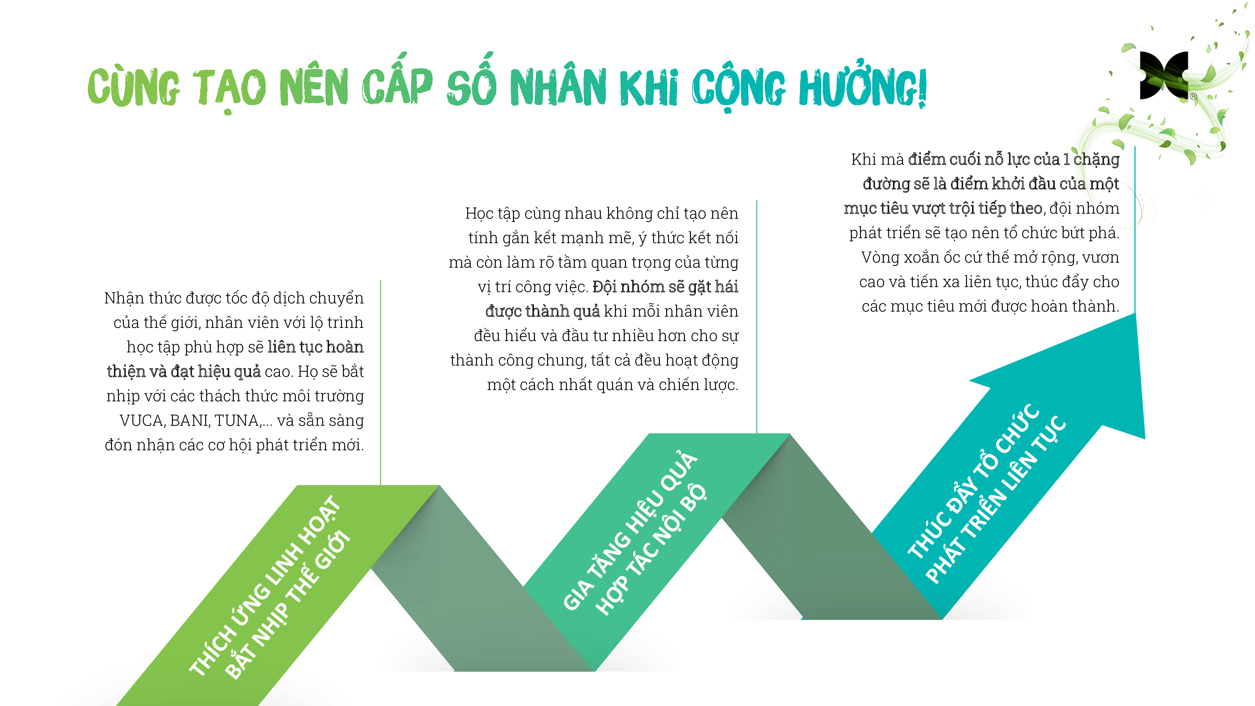 Team-Enrollment-cung-nhau-tao-nen-cap-so-nhan