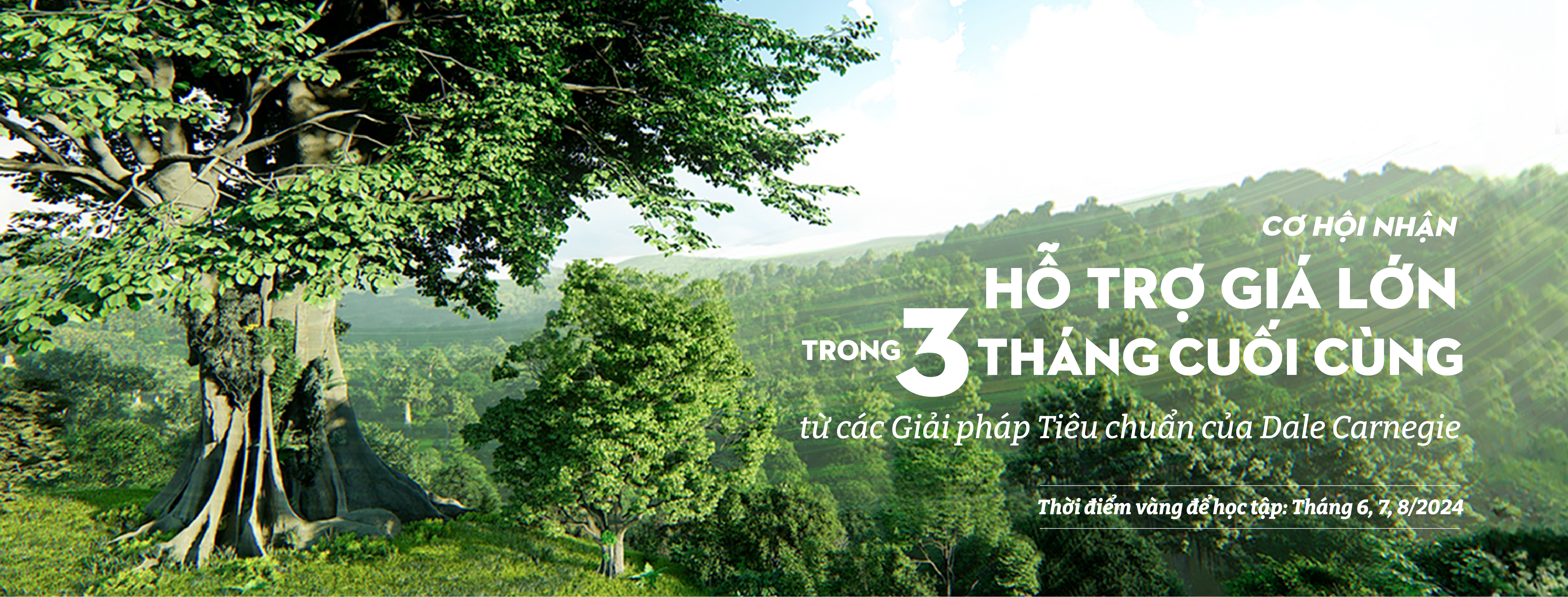 Banner-bai-viet-Co-hoi-3-thang